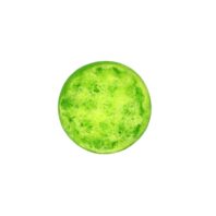 Lime & grapefruit 1