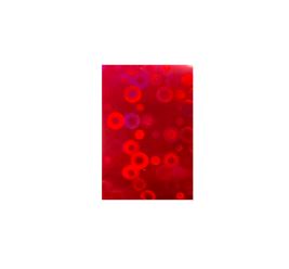 Folio Cherry O´s