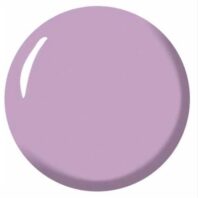 lavender dot