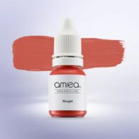 amiea nougat organic 1