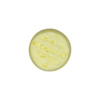 Citrus & Pienapple 1