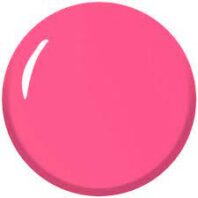 holi pink1