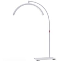 halfmoon light white